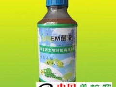 使用EM去霉除臭防病促长